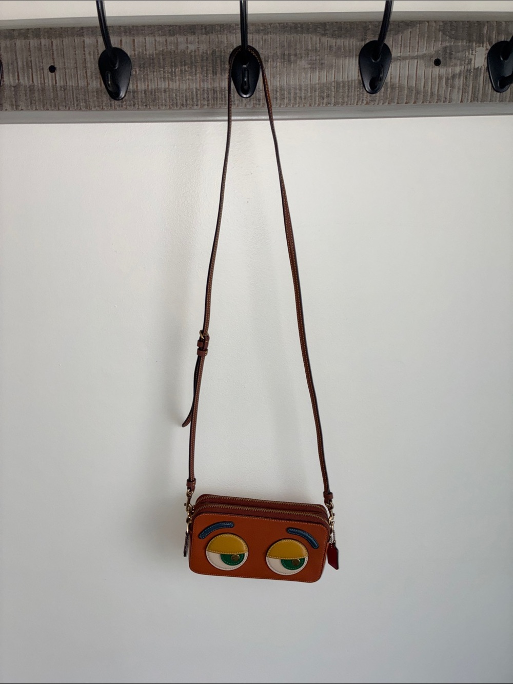 RARE COACH Dreamie Coachies Limited Edition Kira Crossbody